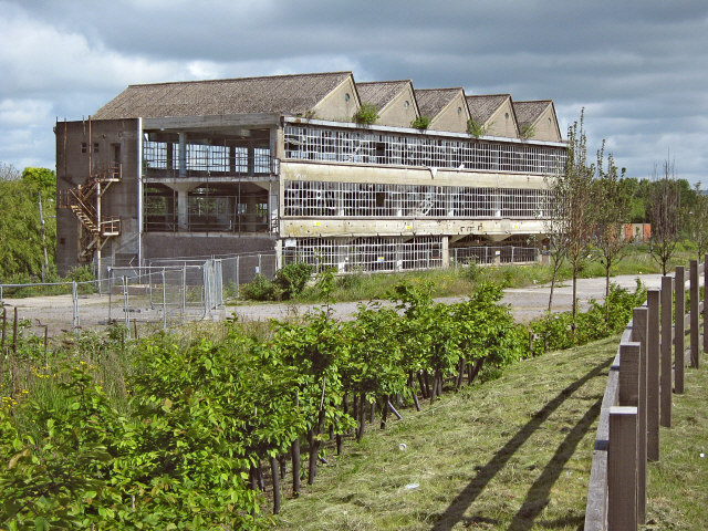 Old Morlands factory
